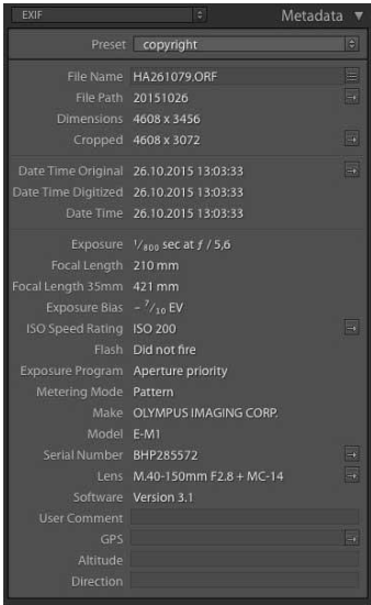 Şekil 1: EXIF Örneği