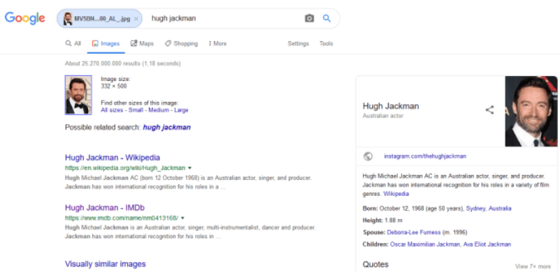 Şekil 3: Reverse Image Search (RIS) Örneği