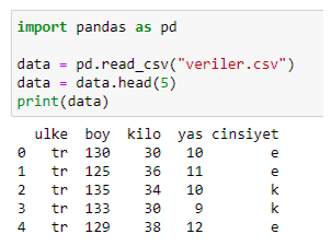Pandas ile Veri Analizi