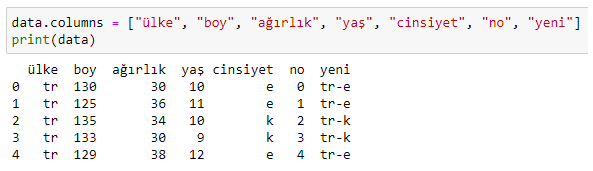 Pandas ile Veri Analizi