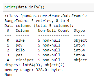 Pandas ile Veri Analizi